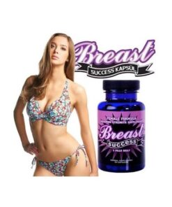 Breast Success Göğüs Büyütücü 60 Adet Bitkisel Hap